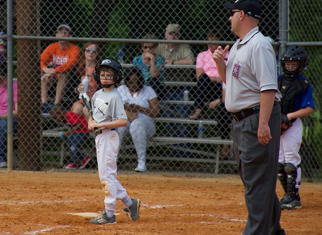 水平的竞技 水平的竞技