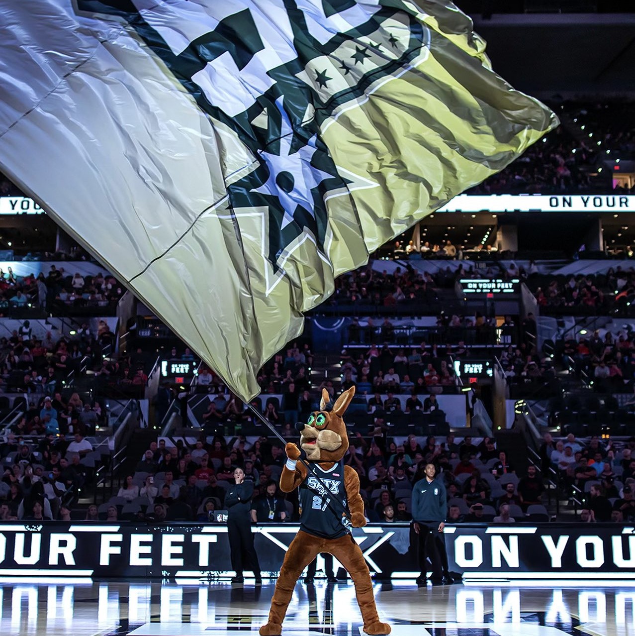 或许会有更 或许会有更